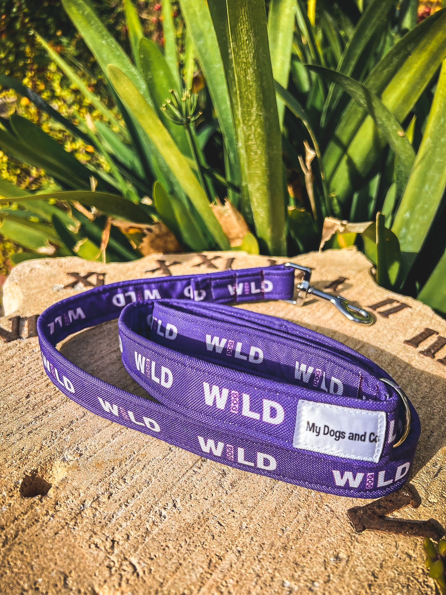 Correa Wild Dog morada