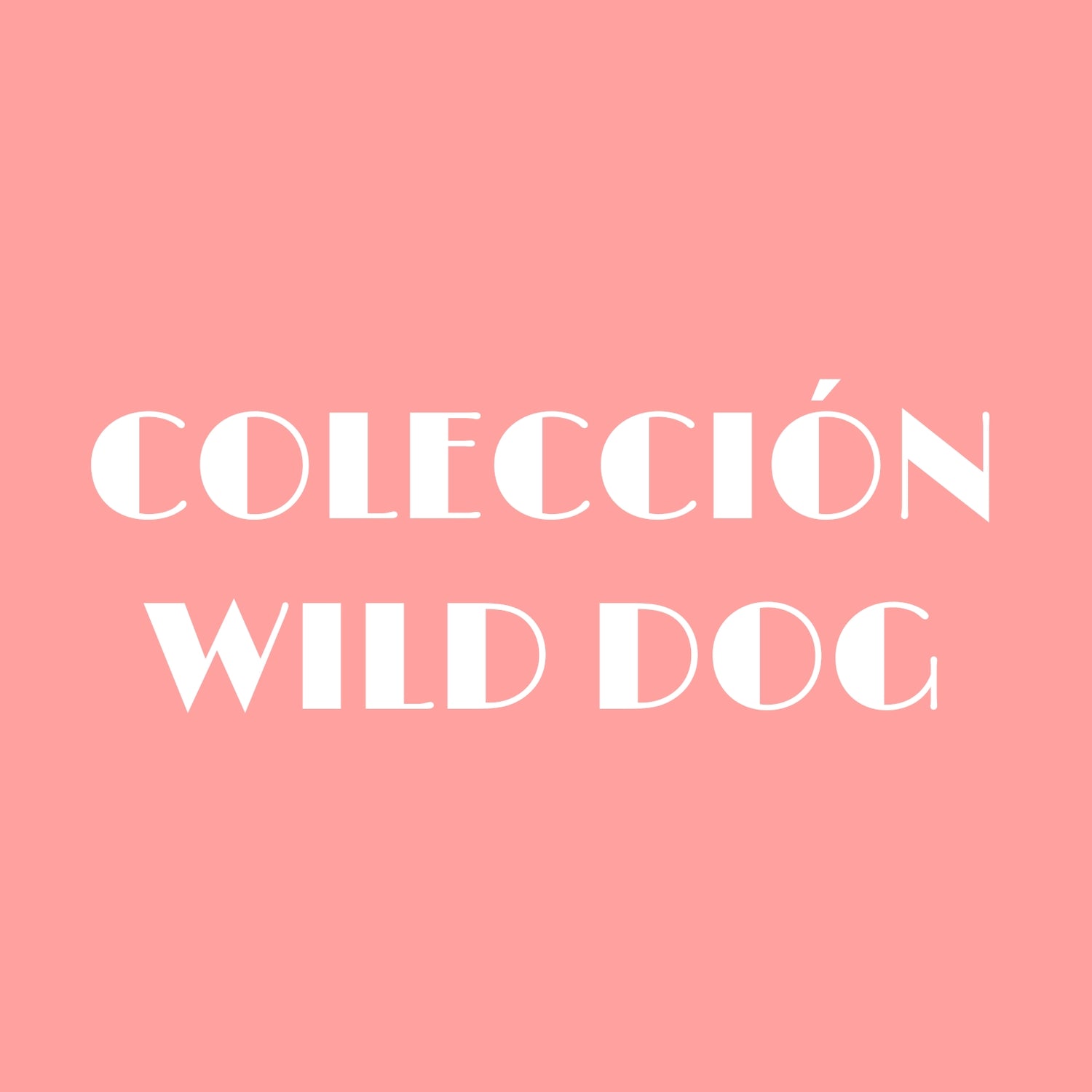 COLECCION WILD DOG