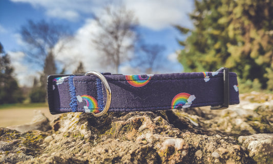 Collar arco iris