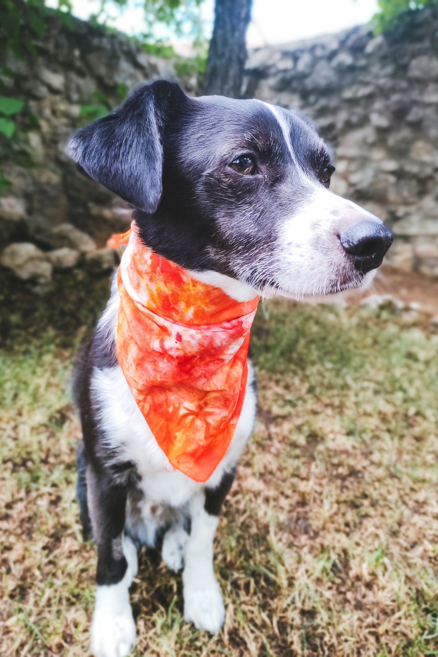 bandana tie dye