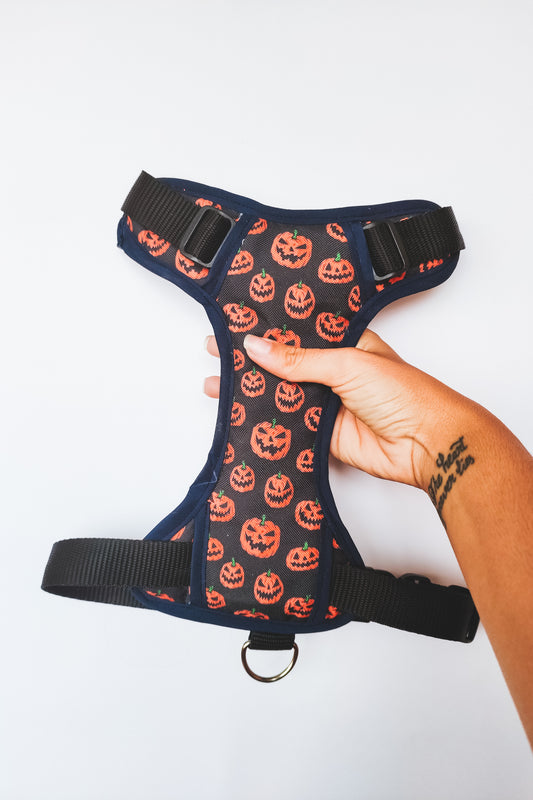 Arnes Ajustable pumkins