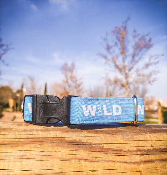 Collar Wild Dog azul