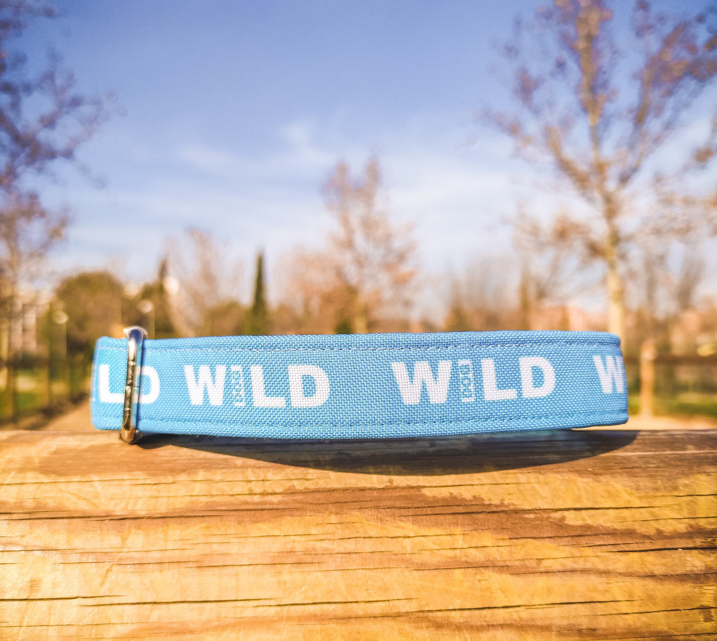 Collar Wild Dog azul